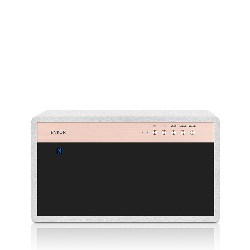 BT100